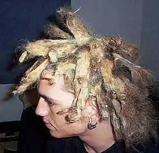 Волосатики