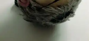 Киношные муляжи.