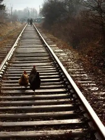 Забавная подборка