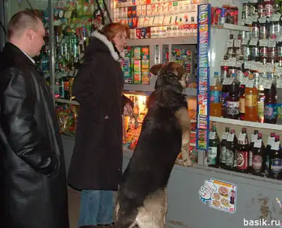 C пятницей!, ура