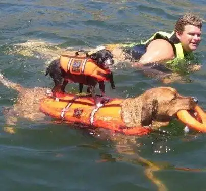 Подборка картинок на самые разнообразные тематики