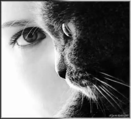 Люди, что животные...