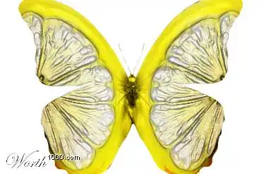 Эмммм....Чернобыль?!