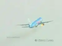 Птица попала в турбину