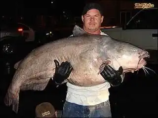 удачная рыбалка!