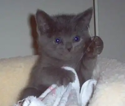 Подборка прикольных картинок.