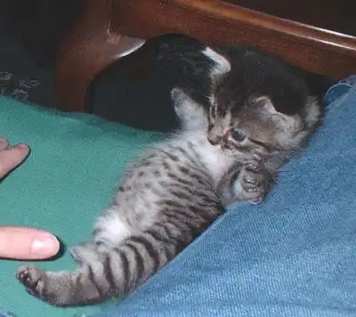 Meгоподборка ;]]