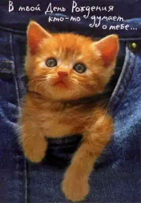 С Днем Рождения, DizLinka! =)