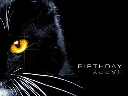 С Днем Рождения, DizLinka! =)