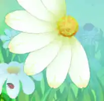 любит, не любит... »