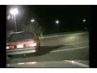 Жена сказала без елки не возвращаться