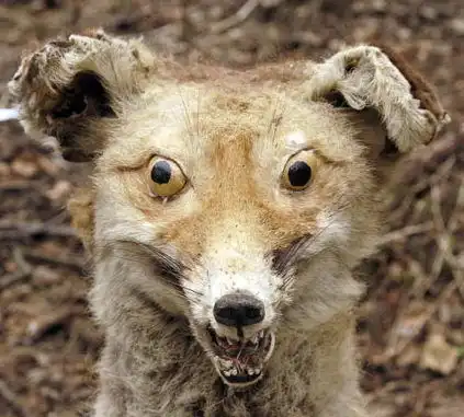 Небольшая подборочка