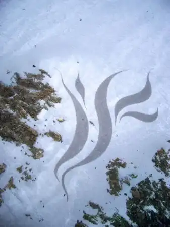 Рисунки на песке!!!