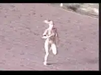 Забег девушек в бикини