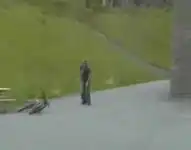 Лицом об асфальт