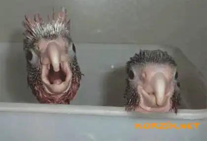 Фото приколы дня