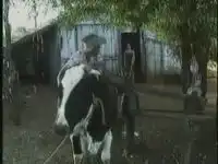 Поймали за еблей