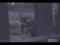 Жесть. Головой в... задницу