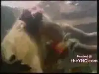 Пираньи - это опасно