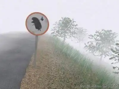 ОСТОРОЖНО! ежик