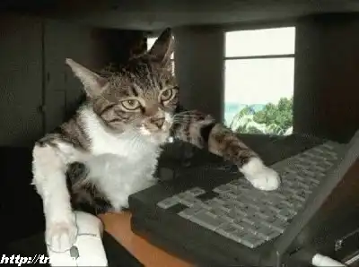 Анекдот дня. В картинках