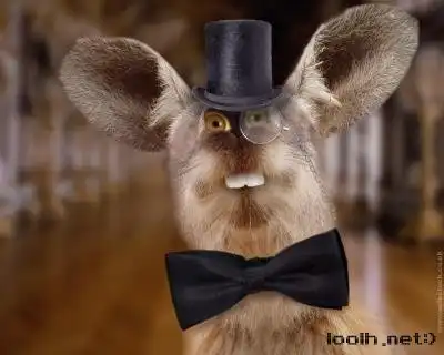 Немного прикольных картинок )