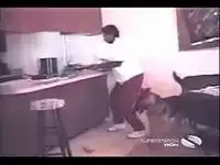 Лобстеры чуть не съели кулинара