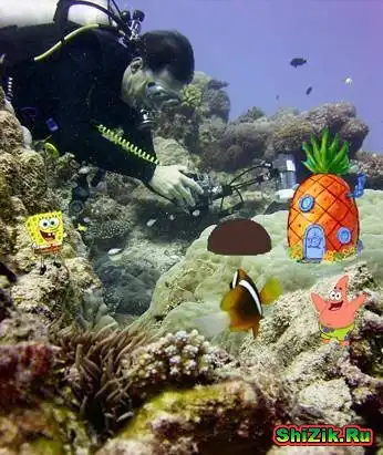 мульты в нашей жизни