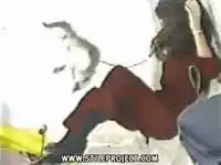 Кот в невесомости