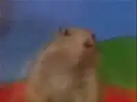 Мега-зверек - Переделка 2