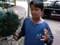 Малой знает много язвков