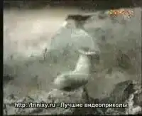 Змея против рыбы