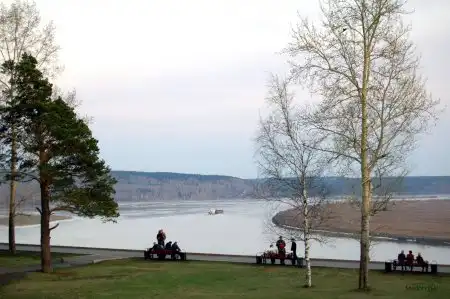 Лагерный сад