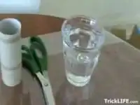 Дерево из презерватива