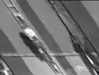 Новый спорт