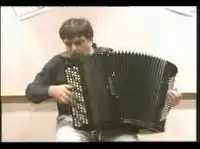 Полет Шмеля на аккордеоне