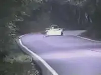 Столкновение с оленем