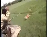 Атака тигра