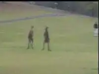 Супер )) Кенгуру-боксеры