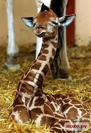 Пазитиффффффф........)))