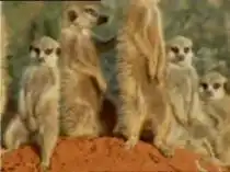 Хочется спать