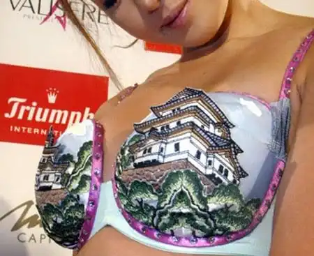 Креативные бюстгалтеры