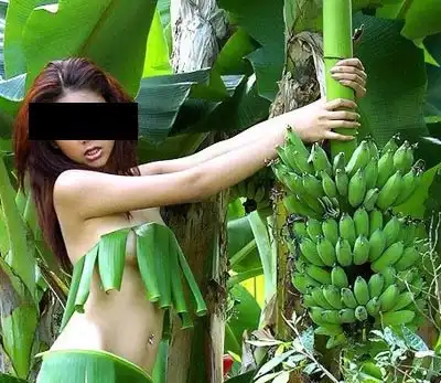 Креативные бюстгалтеры