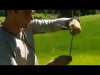 Проголодался и съел змею