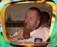 Как нужно пить пиво