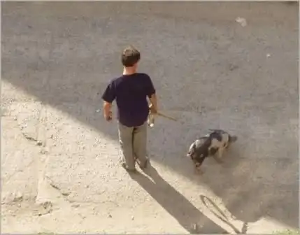 Прикольные картинки пятницы