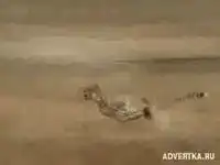 реклама Мяса