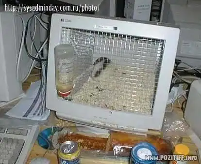 Будни СИСадминов.