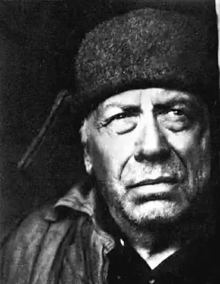 Анатолий Дмитриевич  Папанов