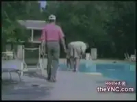 Старички тоже умеют отрываться